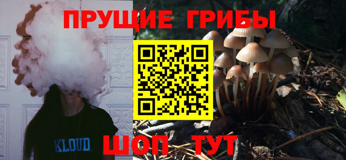 Псилоцибиновые грибы Magic Shrooms Гурьевск